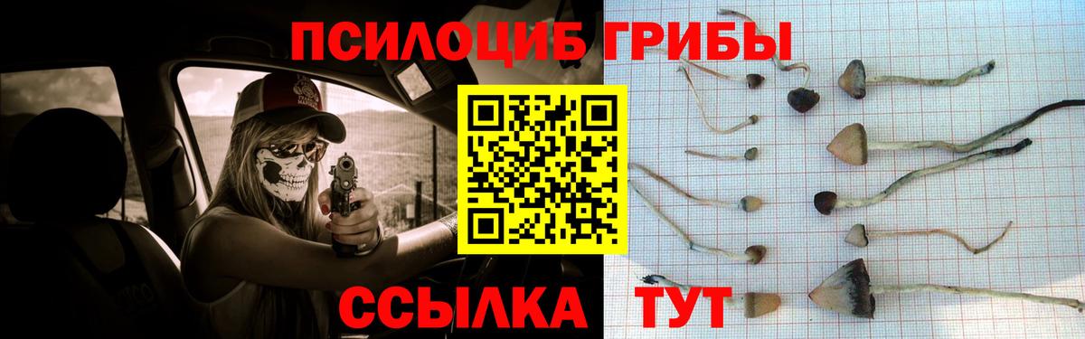 Псилоцибиновые грибы MAGIC MUSHROOMS  Вход с VPN  Омск  Псилоцибиновые грибы мицелий 